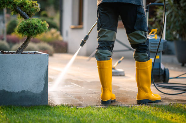 Best Local Pressure Washing Services  in Sunny Isles Beach, FL